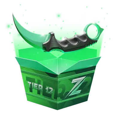 Tier 12 High Risk