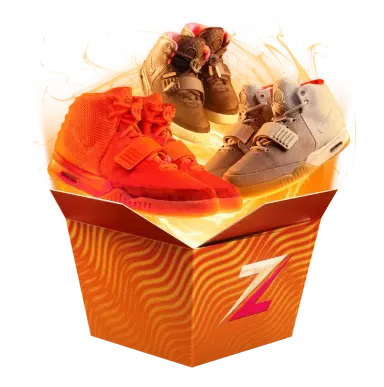 Yeezy Kicks