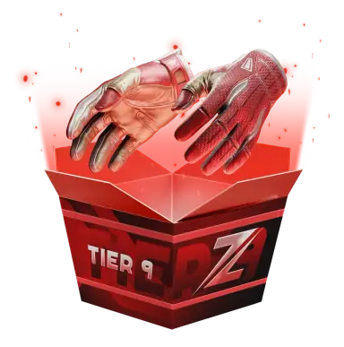 Tier 9 High Risk