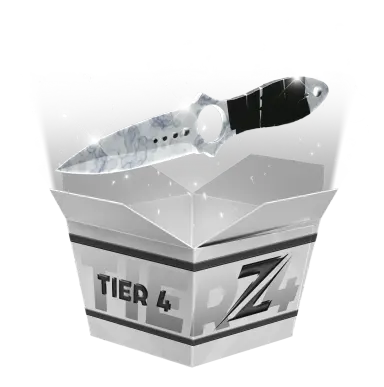 Tier 4 High Risk