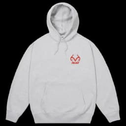 Palace Realtree Tri-Ferg Hoodie (SS26) Grey