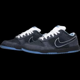 Nike SB Dunk Low Concepts Blue Lobster (Special Box)