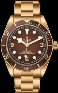 Tudor Black Bay