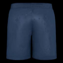 Louis Vuitton Signature Swim Board Shorts
