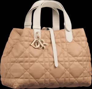 Dior Medium Toujours Bag