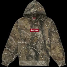 Supreme Box Logo Hooded Sweatshirt (FW25) Realtree AP Camo