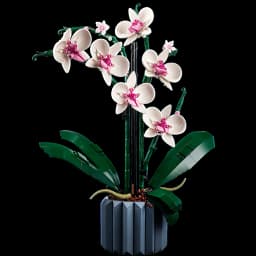LEGO Botanicals Orchid