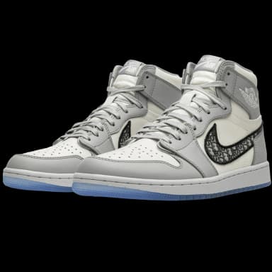 Jordan 1 Retro High Dior