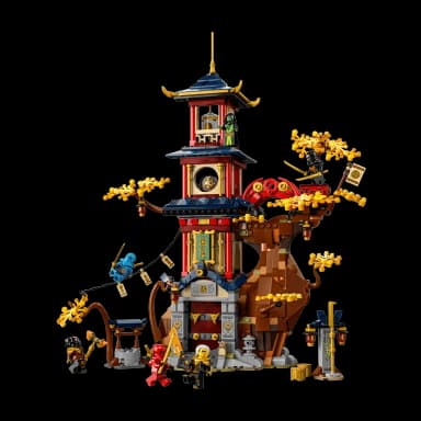 LEGO Temple of The Dragon