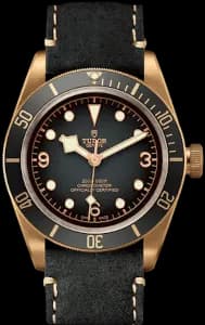Tudor Black Bay