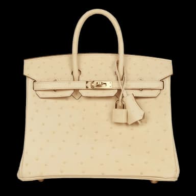 Hermès Birkin 25 Vanille Ostrich Boreal Gold Hardware